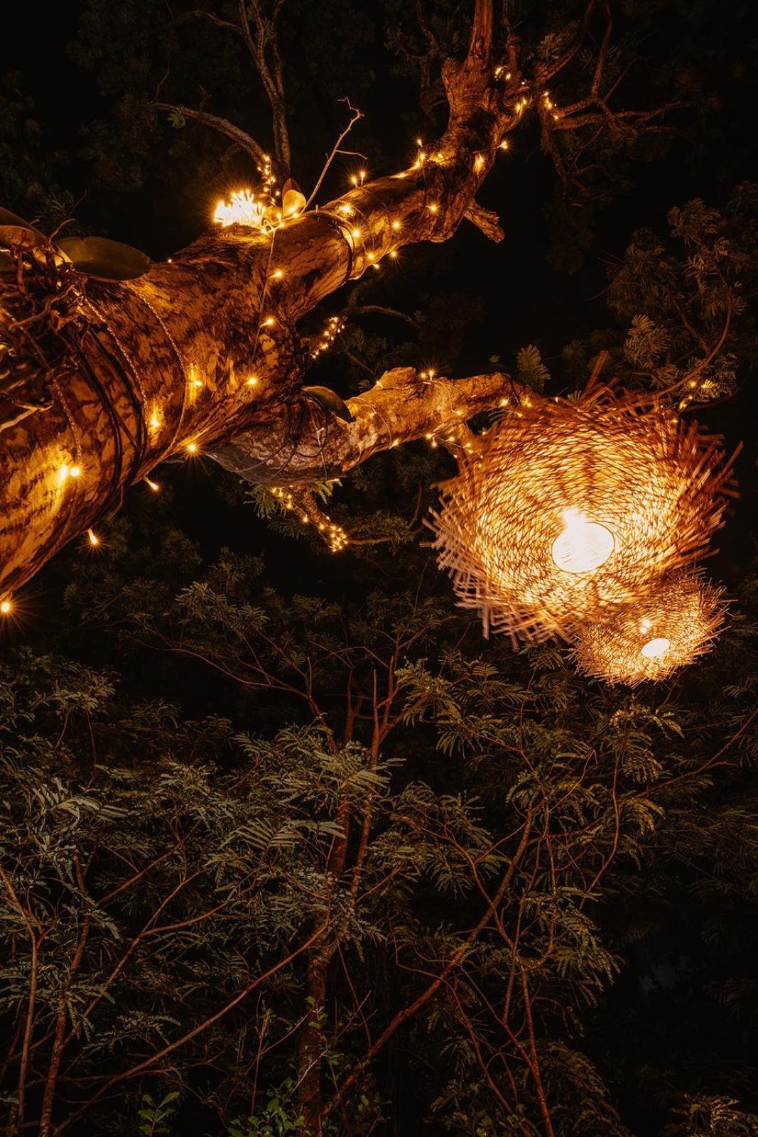 Au Jardin Des Colibris Ecolodge&spa Holiday park *
