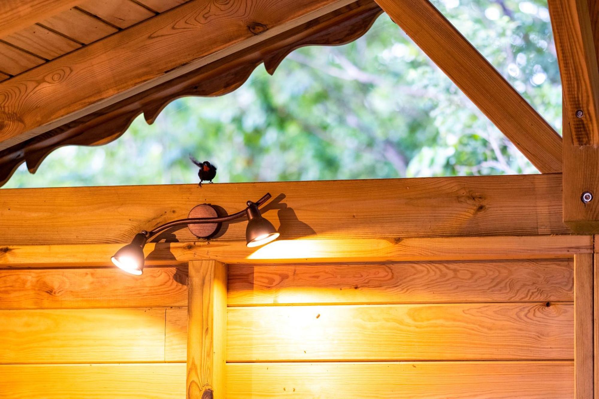 Holiday park Au Jardin Des Colibris Ecolodge&spa *