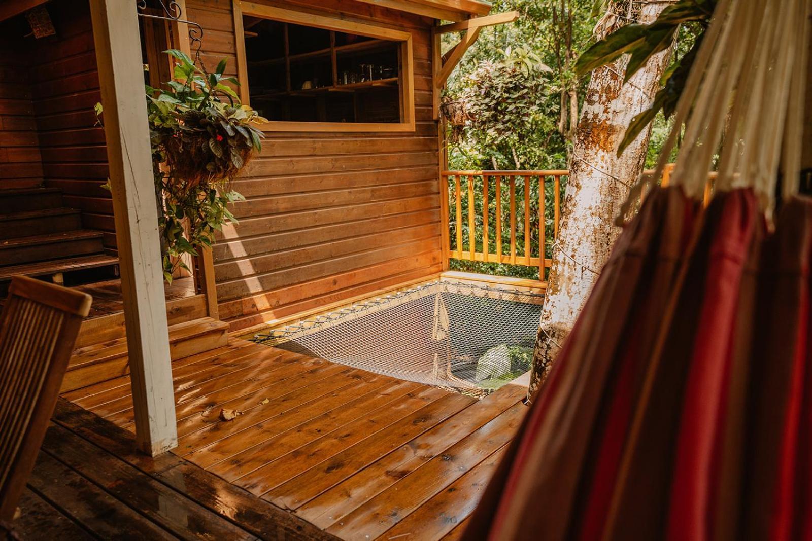 Au Jardin Des Colibris Ecolodge&spa Holiday park Deshaies
