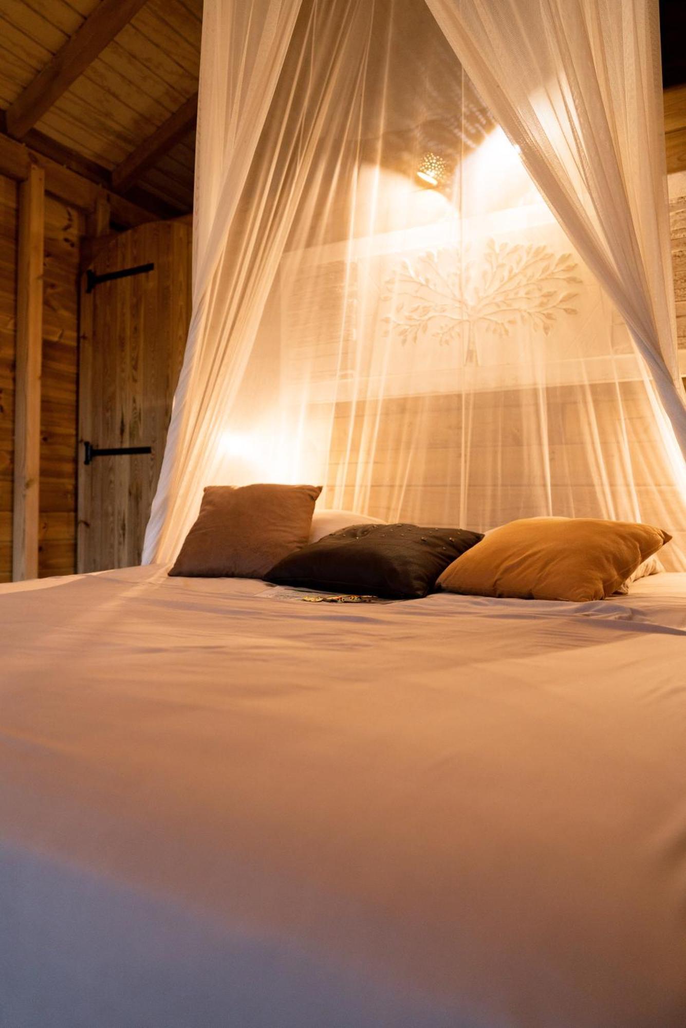 Au Jardin Des Colibris Ecolodge&spa Holiday park