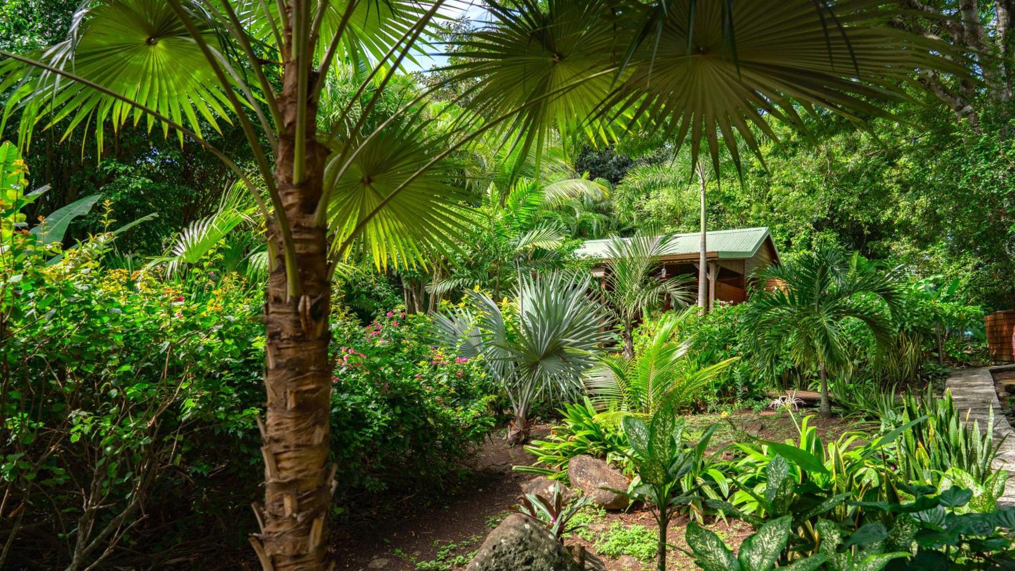 Au Jardin Des Colibris Ecolodge&spa Holiday park