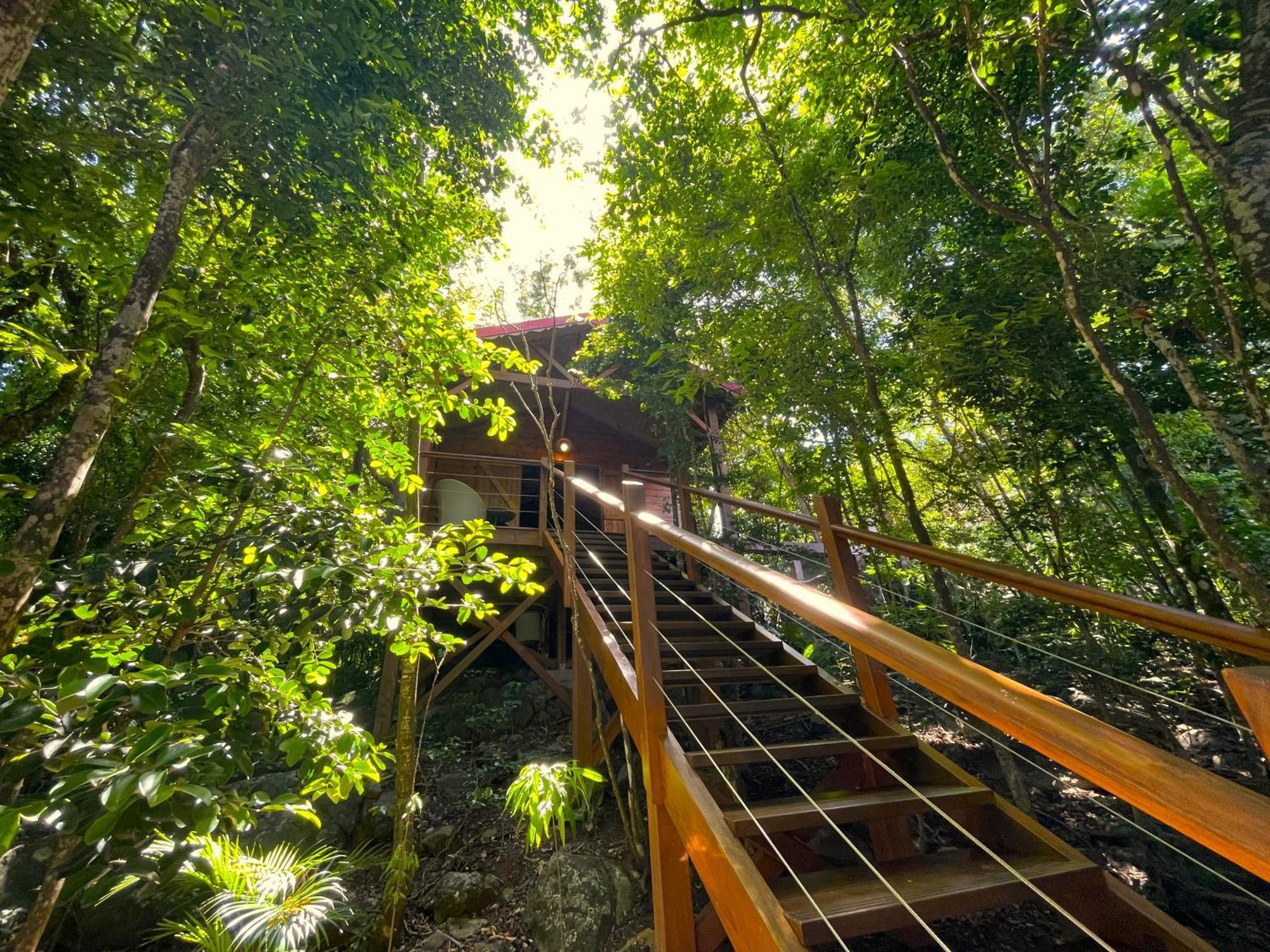 Au Jardin Des Colibris Ecolodge&spa *