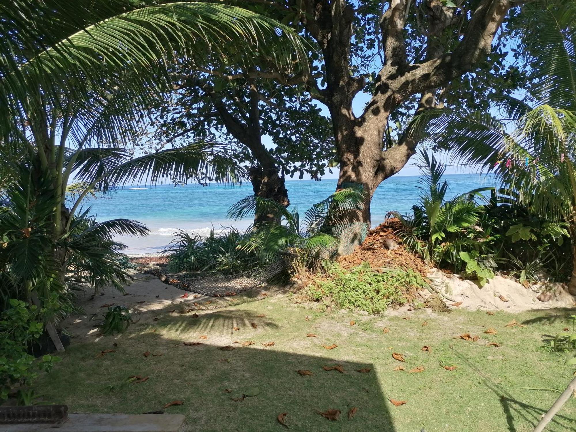 Acomodação com café da manhã  Brian's House Port Antonio