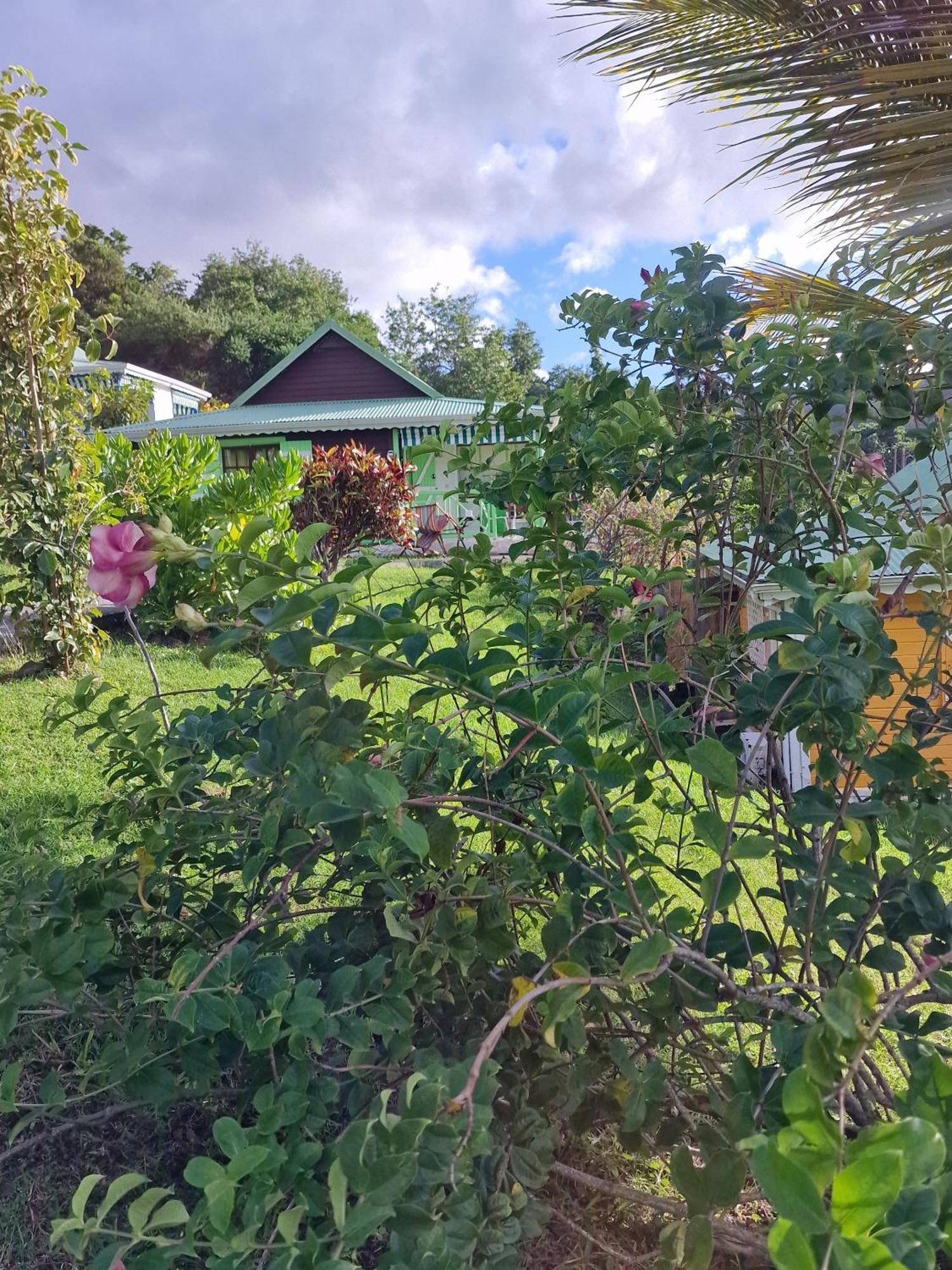 Holiday home La Colline Verte *