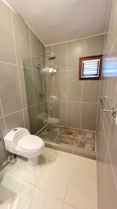 Apartment Oceanview Penthouse On The