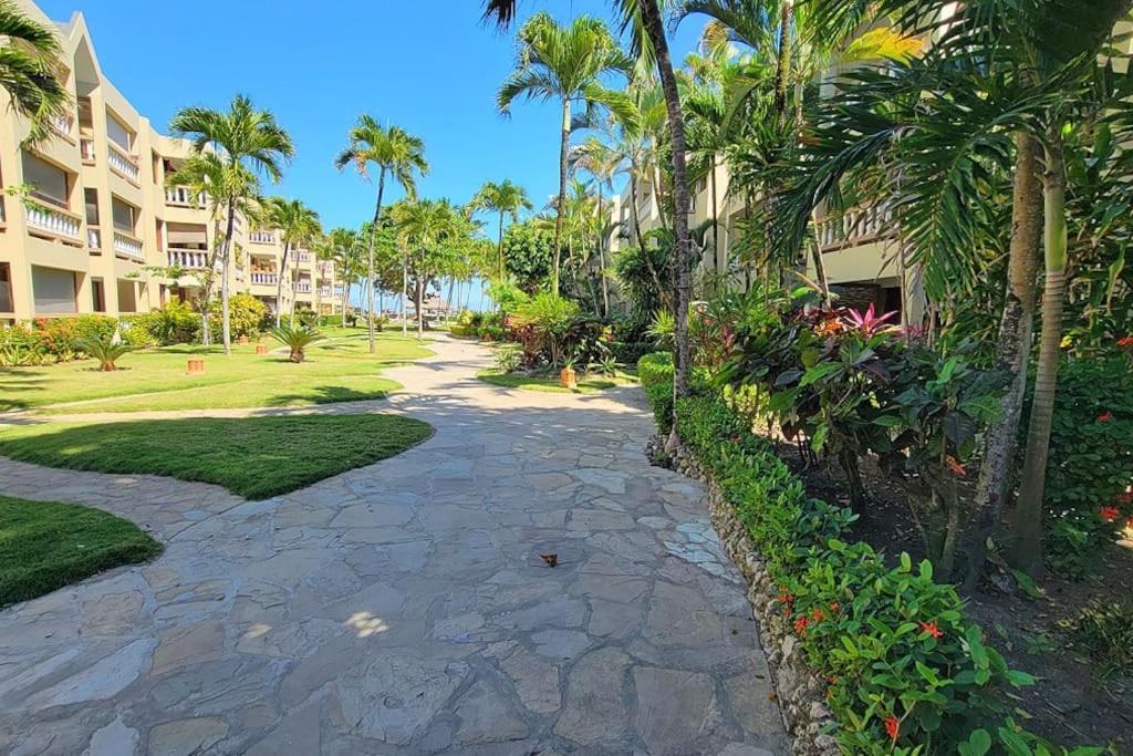 Apartment Oceanview Penthouse On The Cabarete