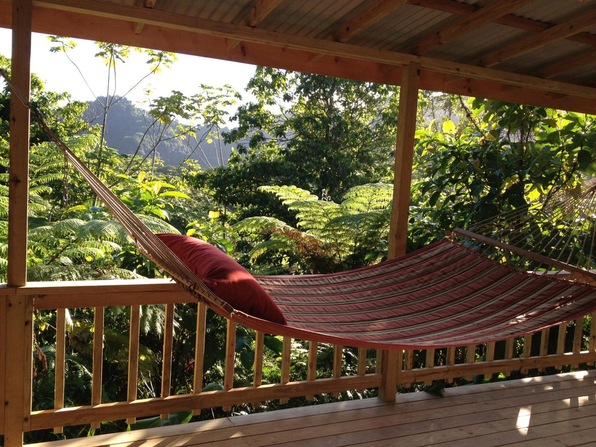 Lodge Roots Jungle Retreat