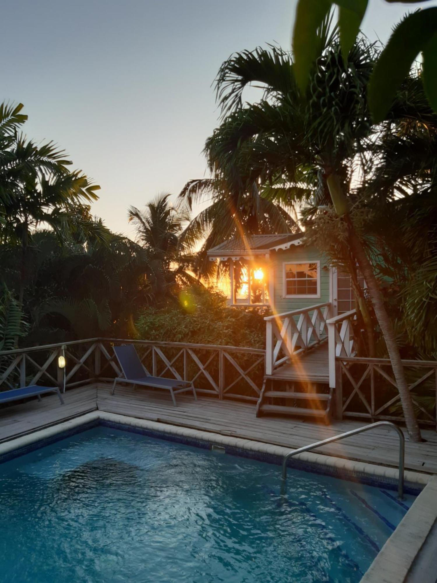 Palm * Castries
