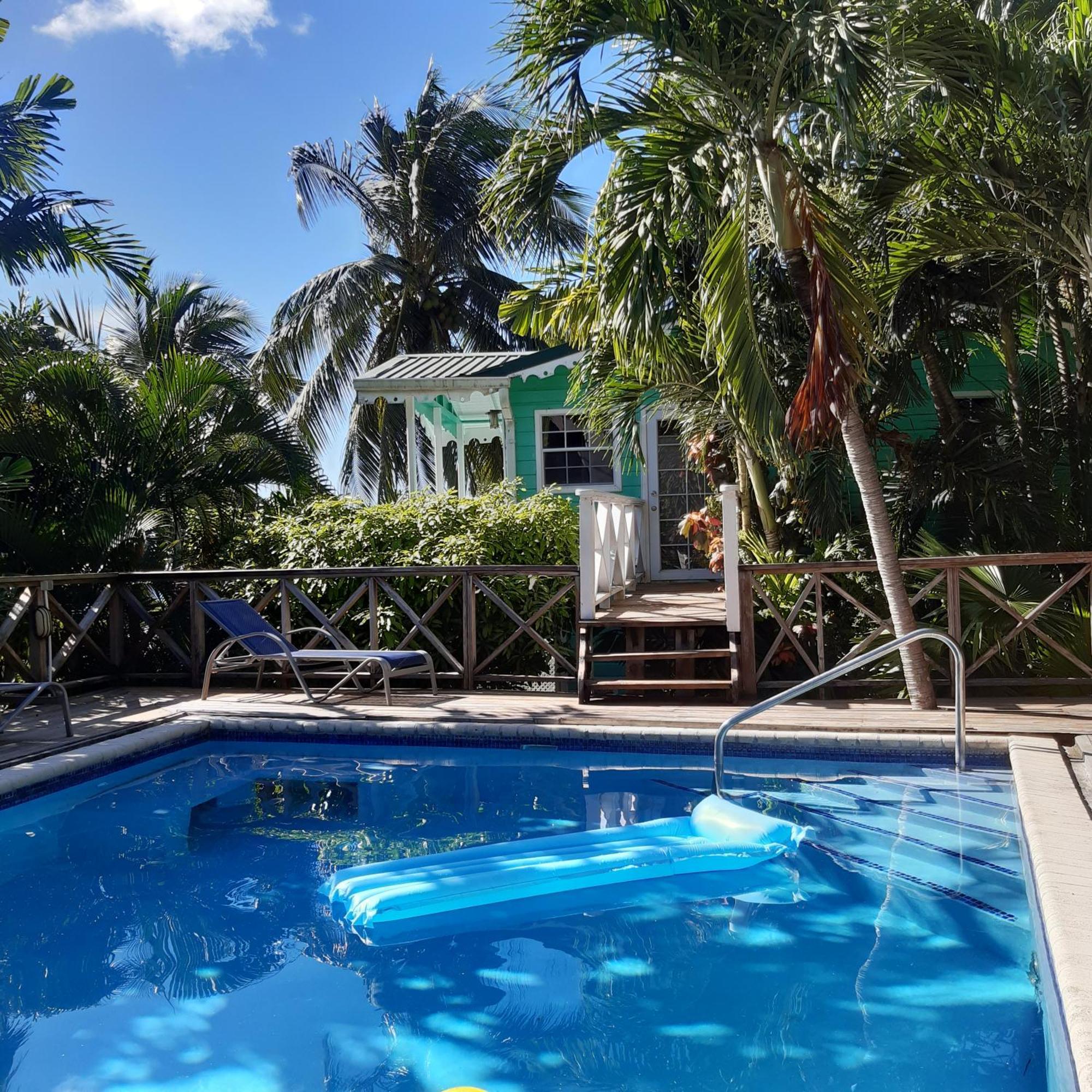 Lodge Palm Castries