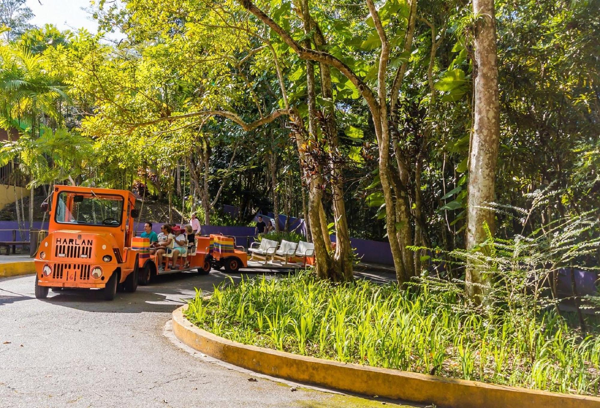 Hotel Discovery & At 681 Ocean Drive Arecibo