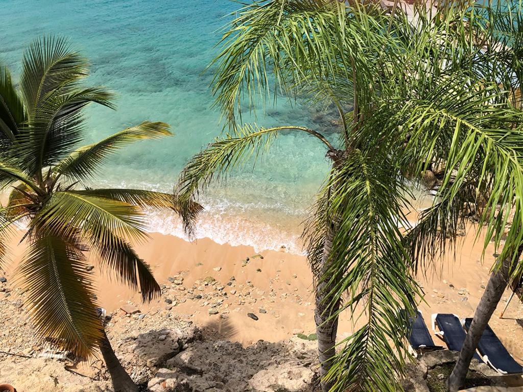 Apartment Oceanfront Barracuda At Den Laman Playa