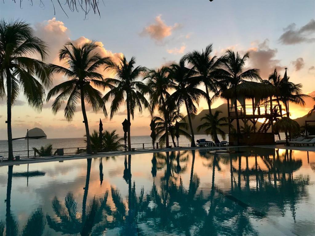 Cocooning Diamond - Piscine Et Terrasse Vue Le Diamant