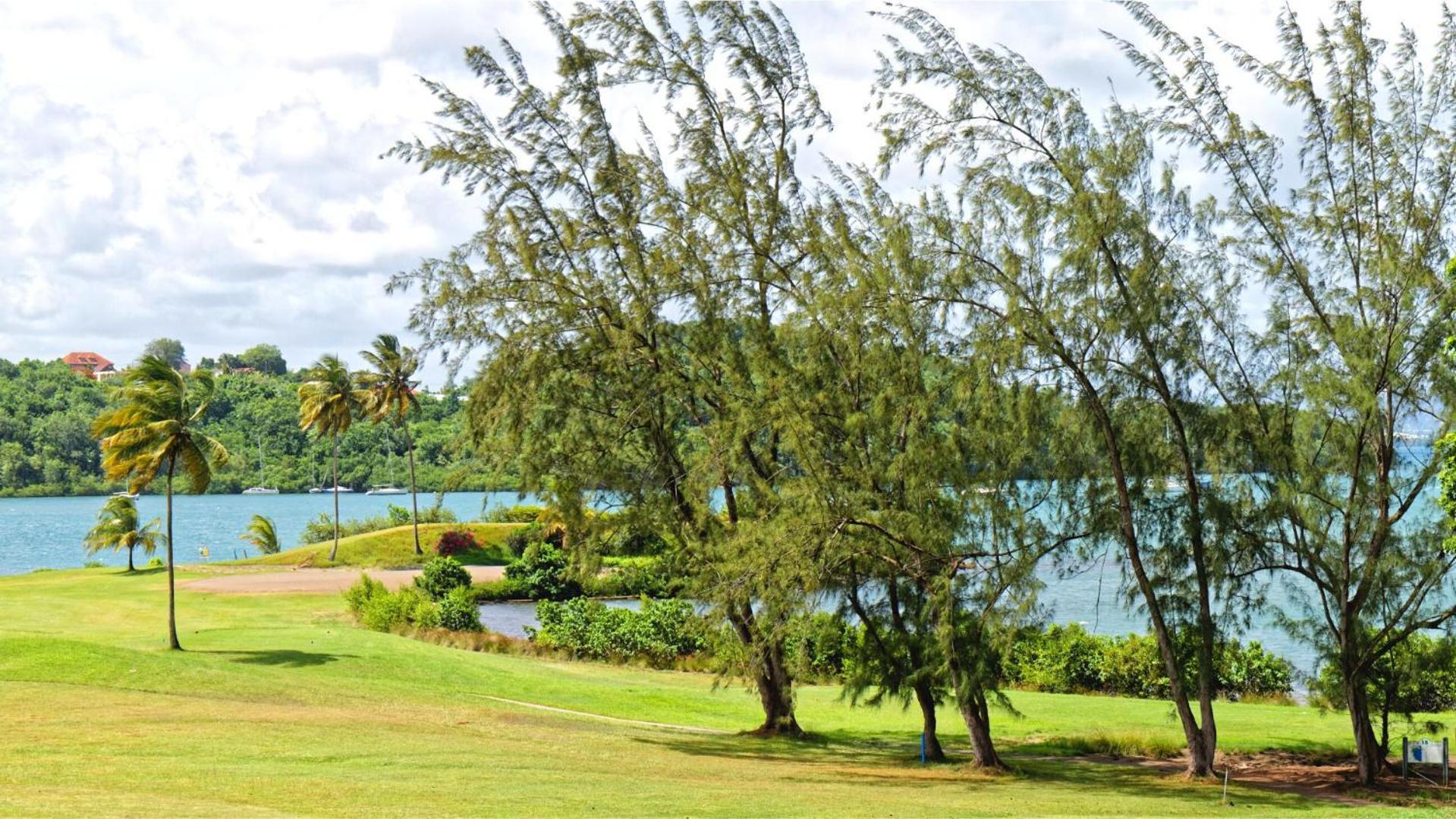Les By Bambou Martinique * Les Trois-Ilets
