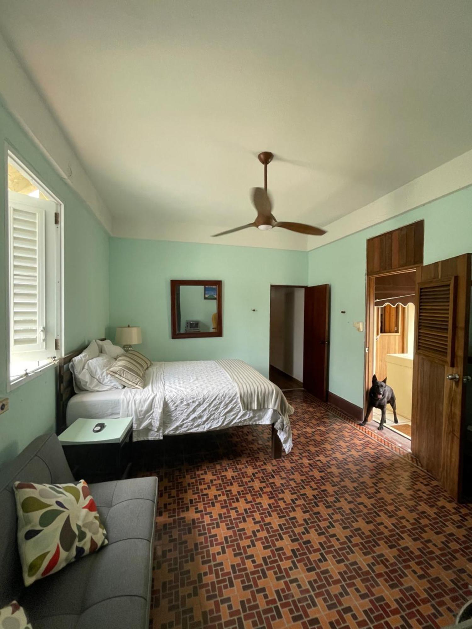 Fresh Tropical Colonial Style Walk-up- Rooftop Terrace- View Apartamento