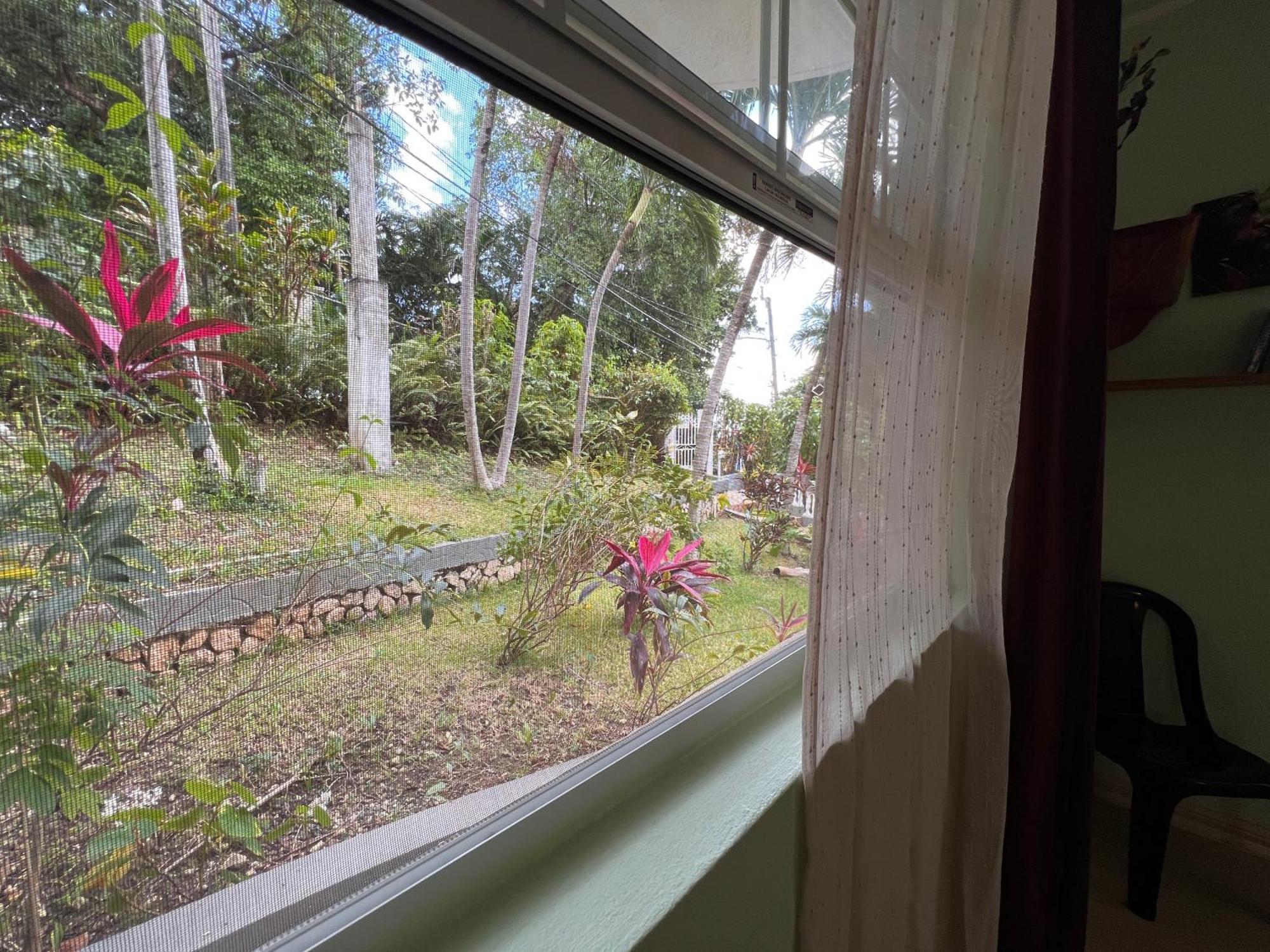 All Nations Guest house Port Antonio