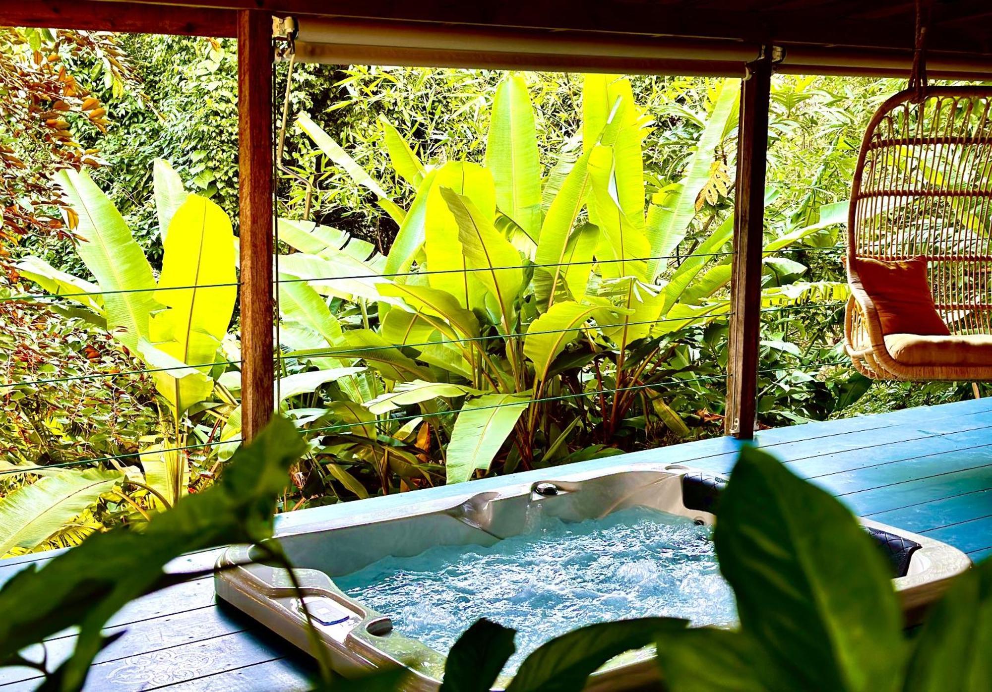 Guest house Habitation Cafeiere Samana Beausejour -