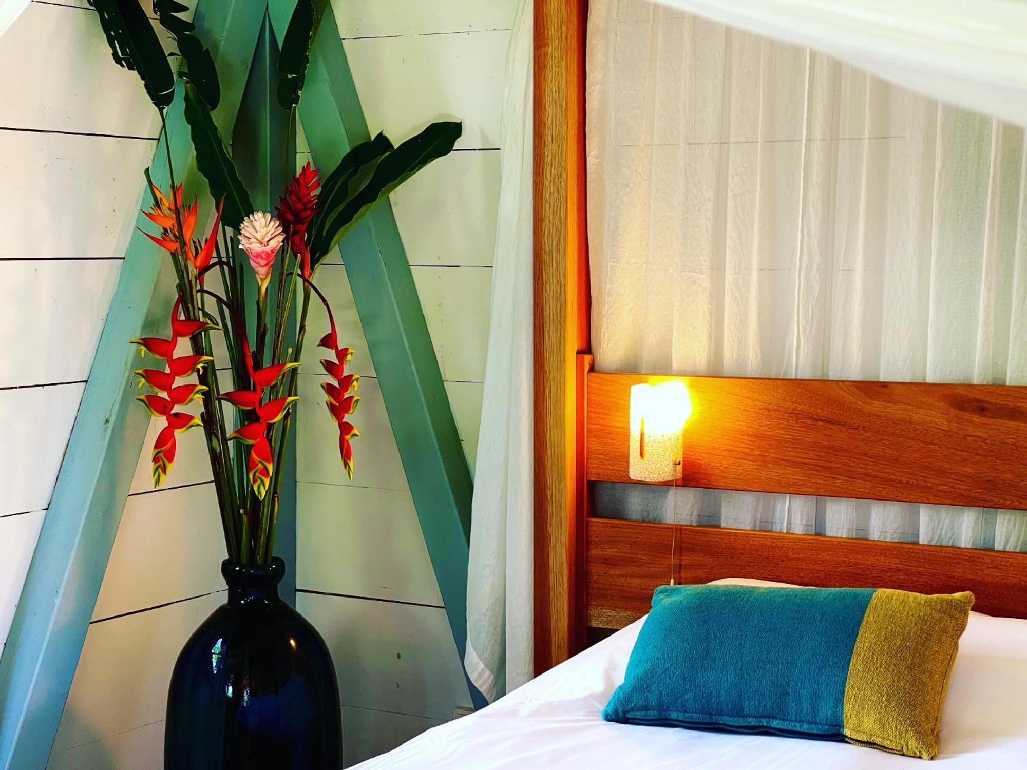 Guest house Habitation Cafeiere Samana Beausejour -