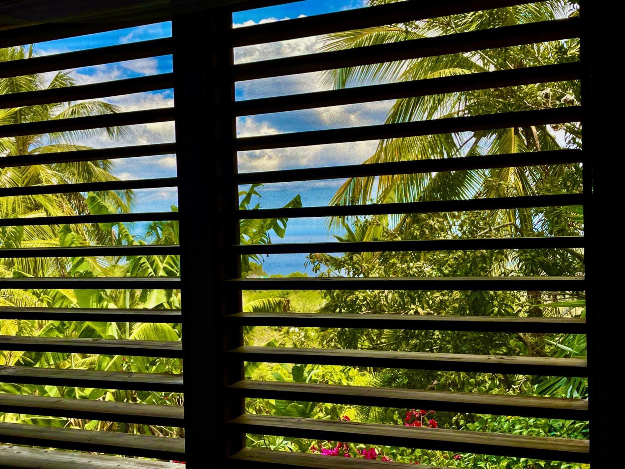 Guest house Habitation Cafeiere Samana Beausejour -
