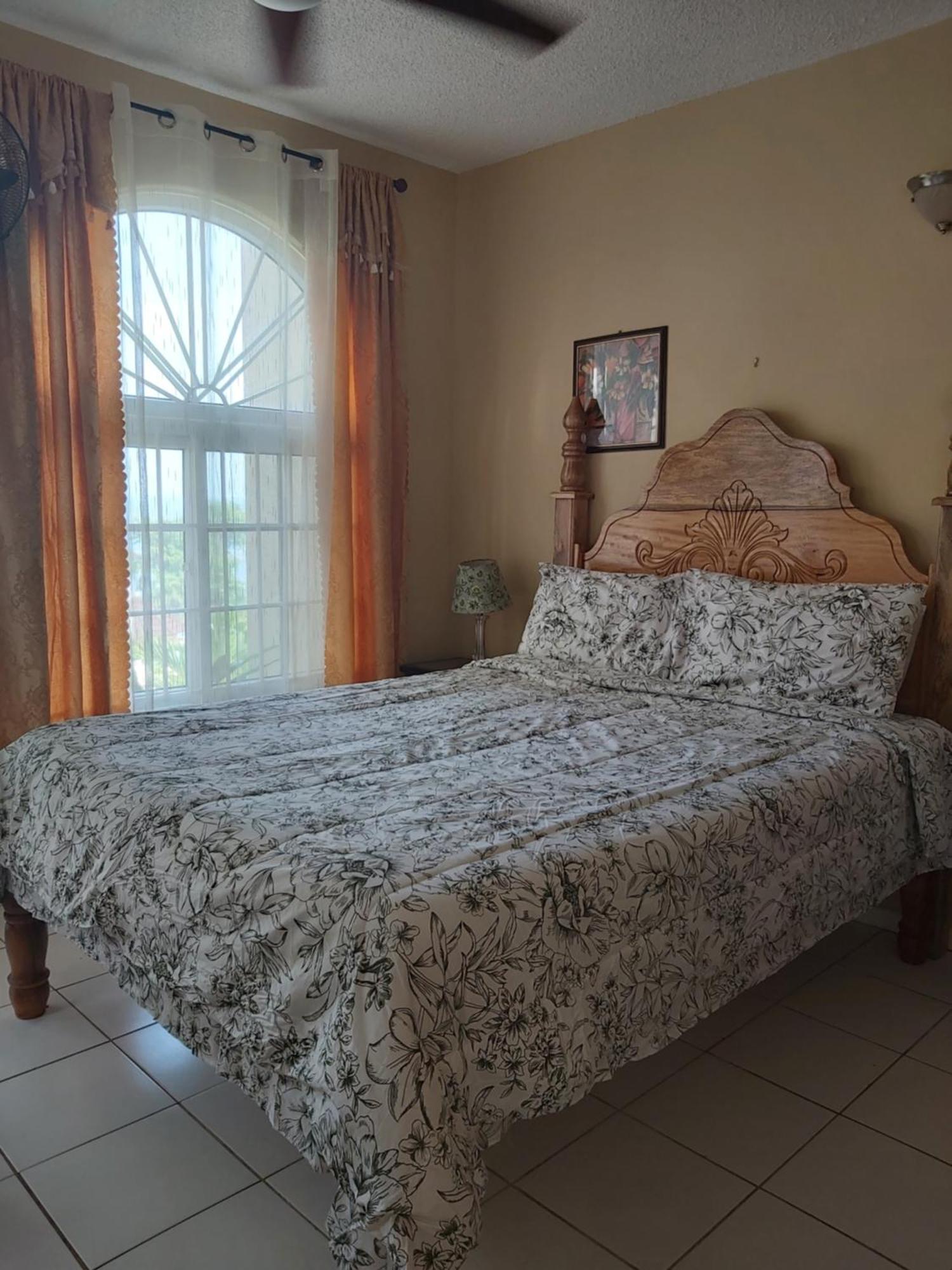 Elegant Awesome View Apartment Ocho Rios
