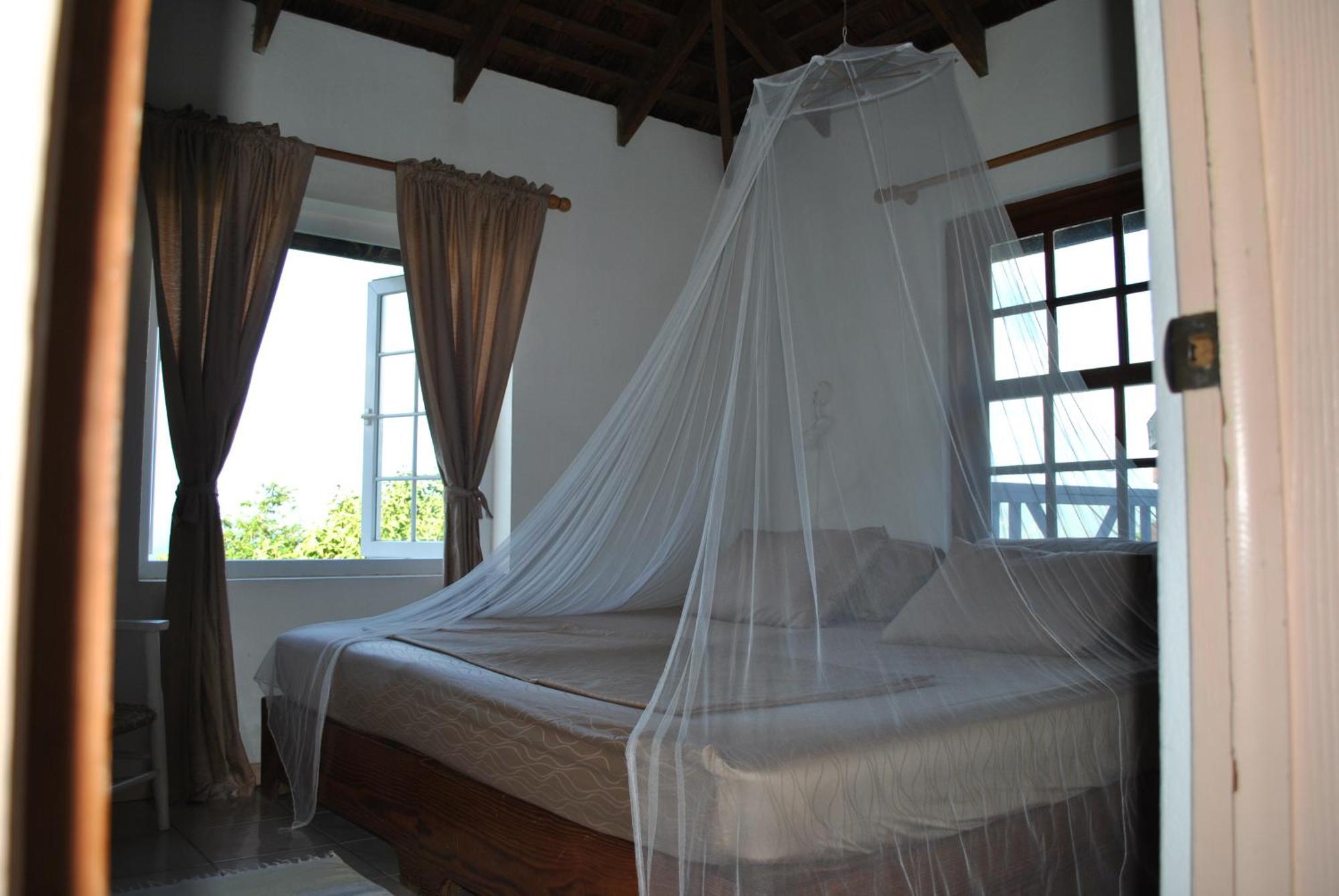 Caribbean Dream 2*