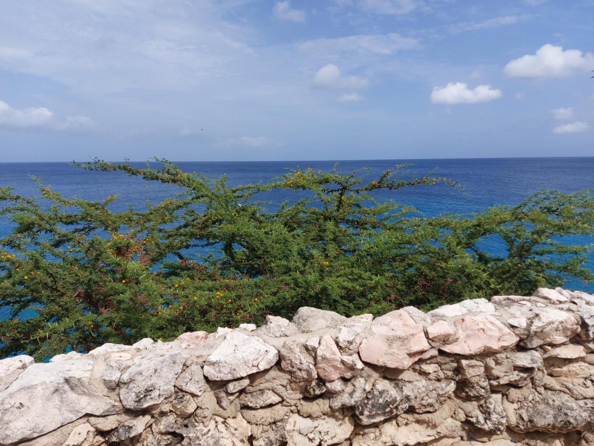 Bon Bini Curacao