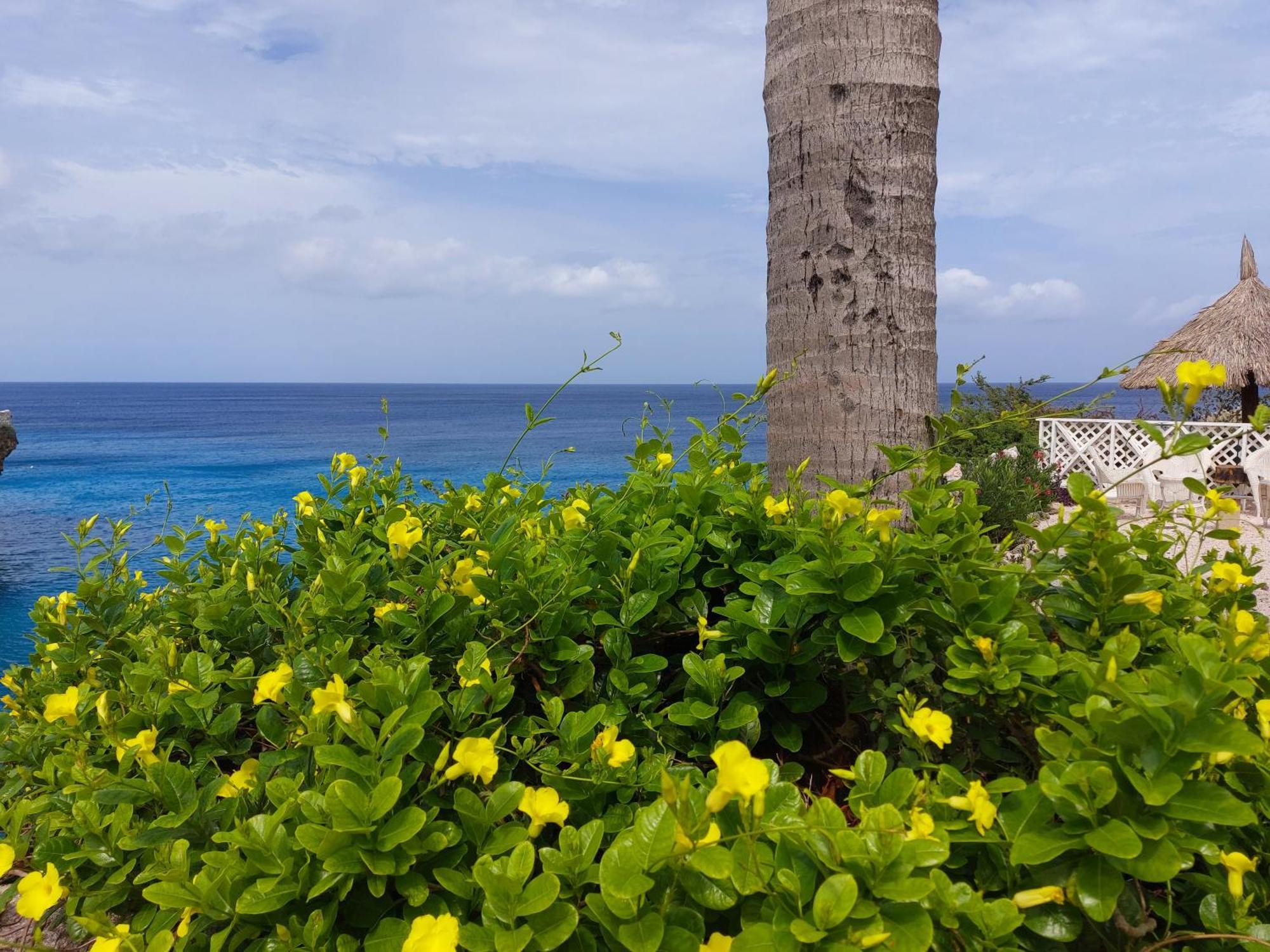 Bon Bini Curacao *