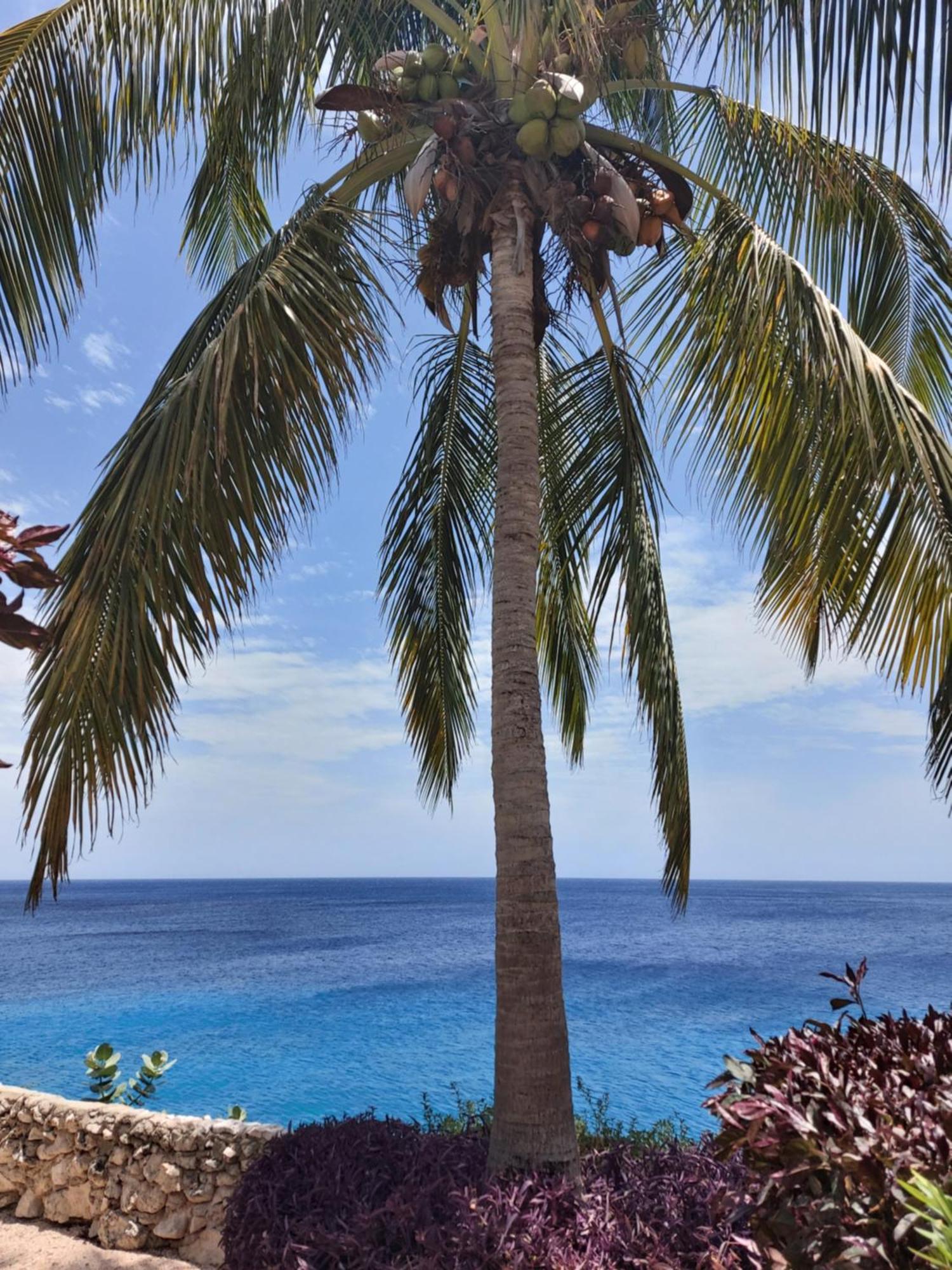 Bon Bini Curacao Apartment *