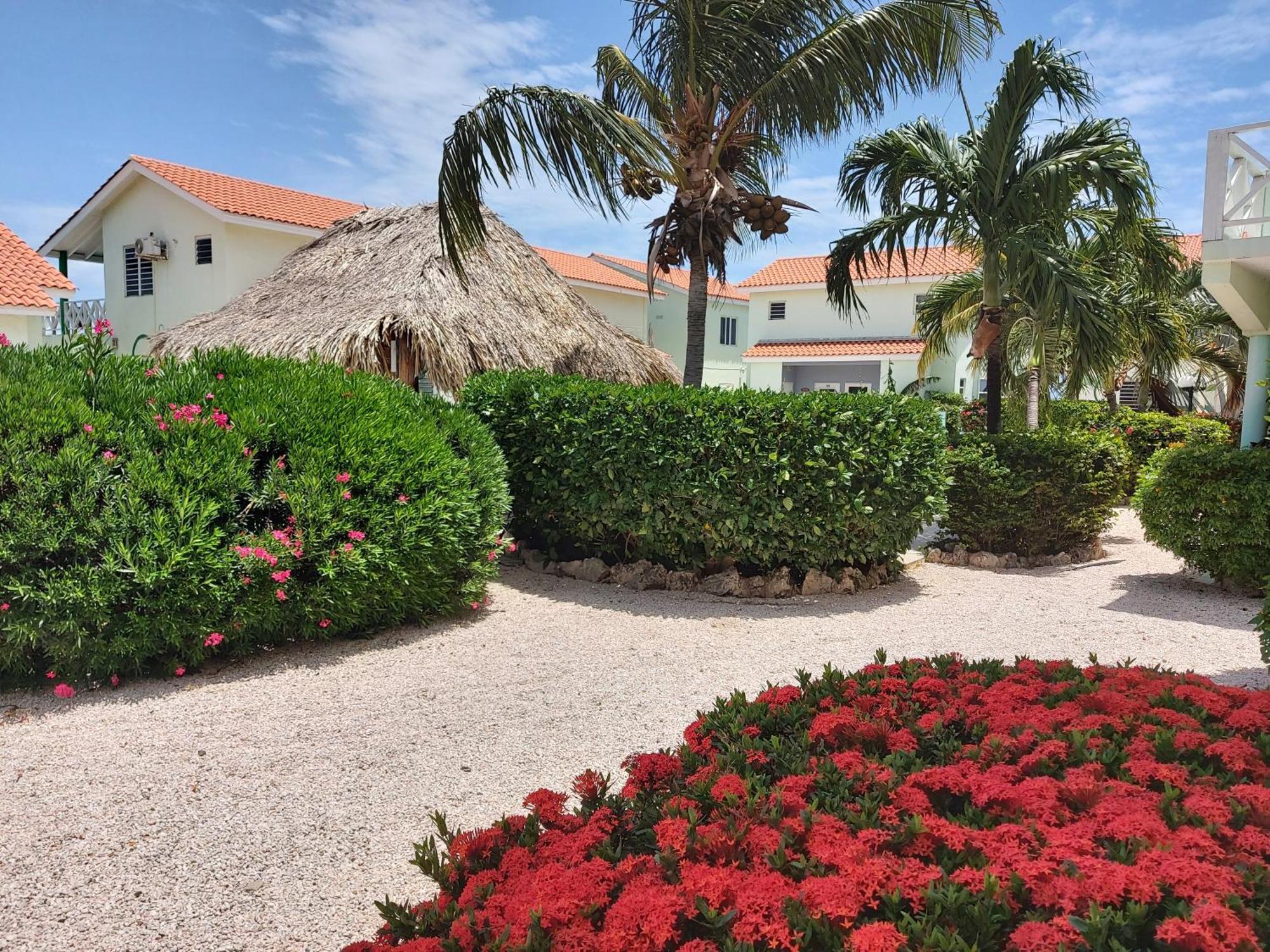 Apartment Bon Bini Curacao