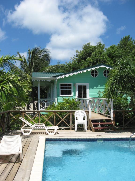 Palm Castries
