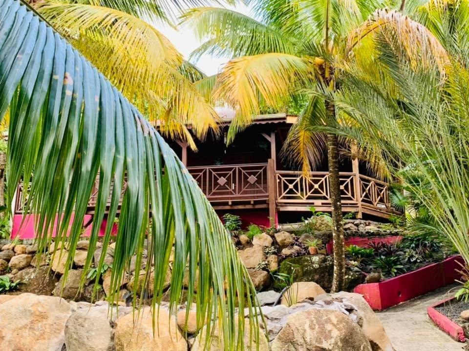 L'ilot Palmiers Guest house 4*