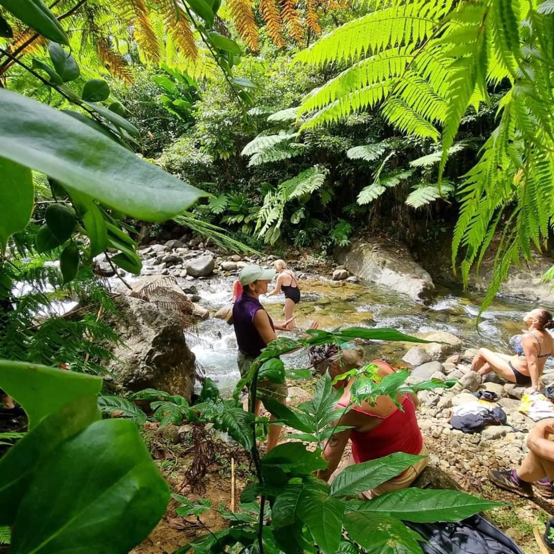 Hibiscus Valley Pensão