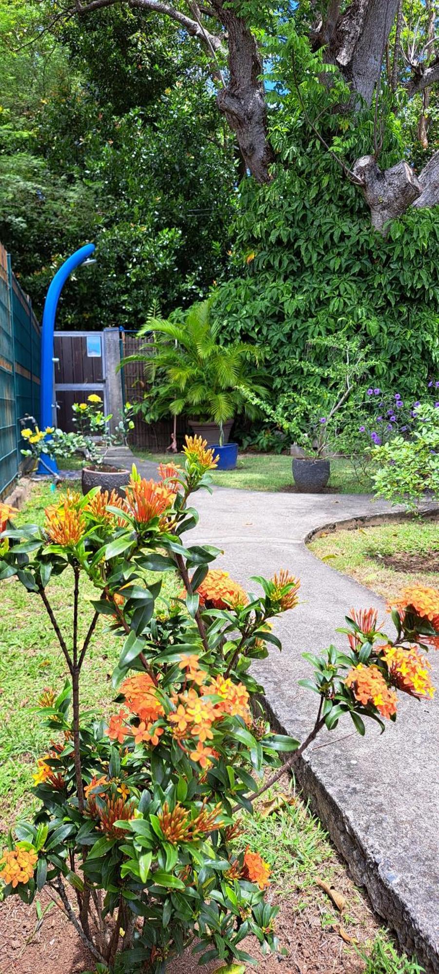 Holiday home Reve Creole