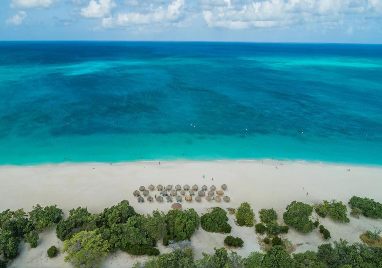Zen Gardens Apartment, 350 Yards From Eagle Beach! *