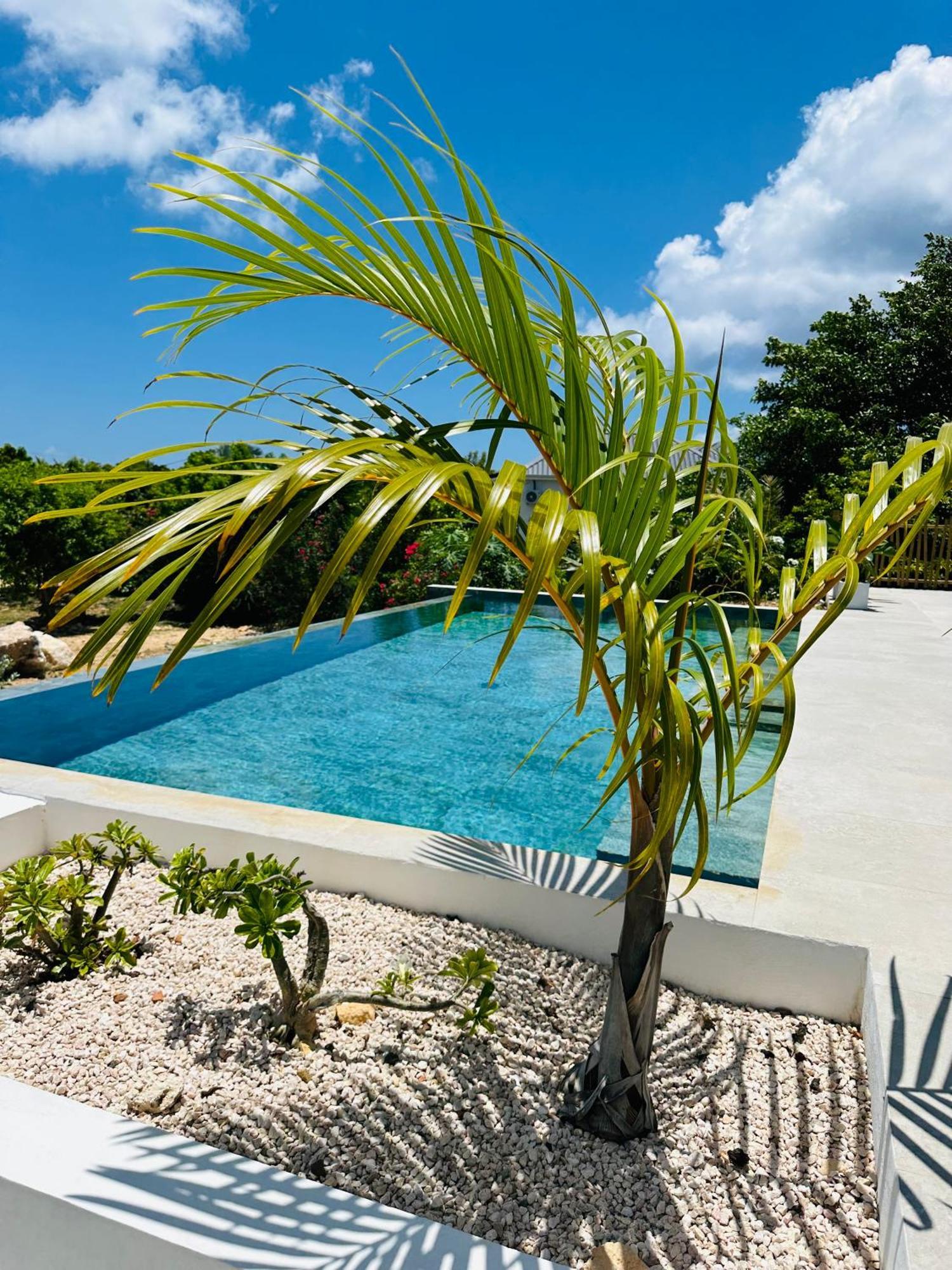 Tropical Heaven - Terres Basses *