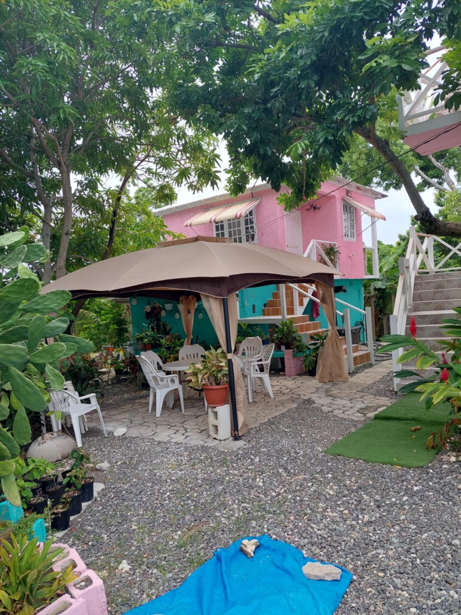 Alex's Place - Tim Pappies Apartment Port Antonio