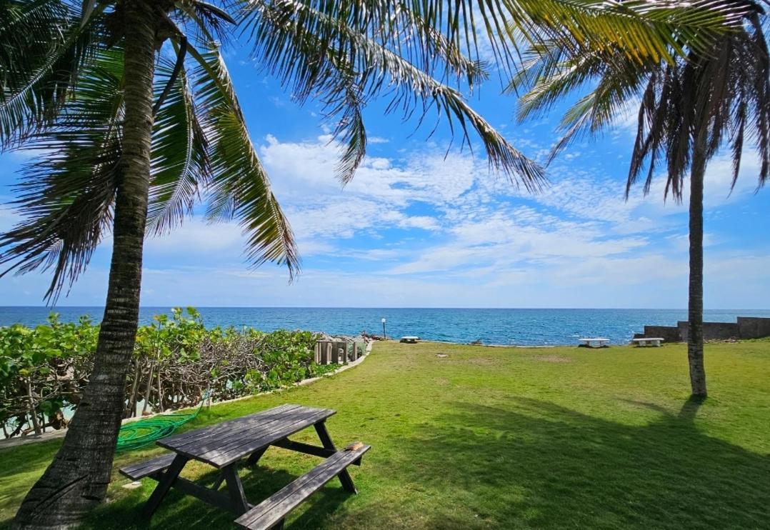 Apartment Palms By The Sea