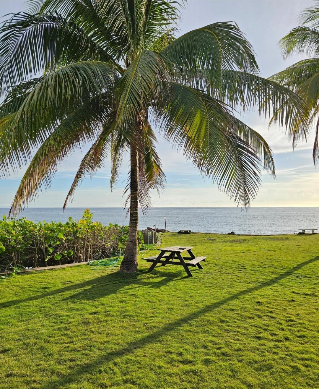 Palms By The Sea St. Mary