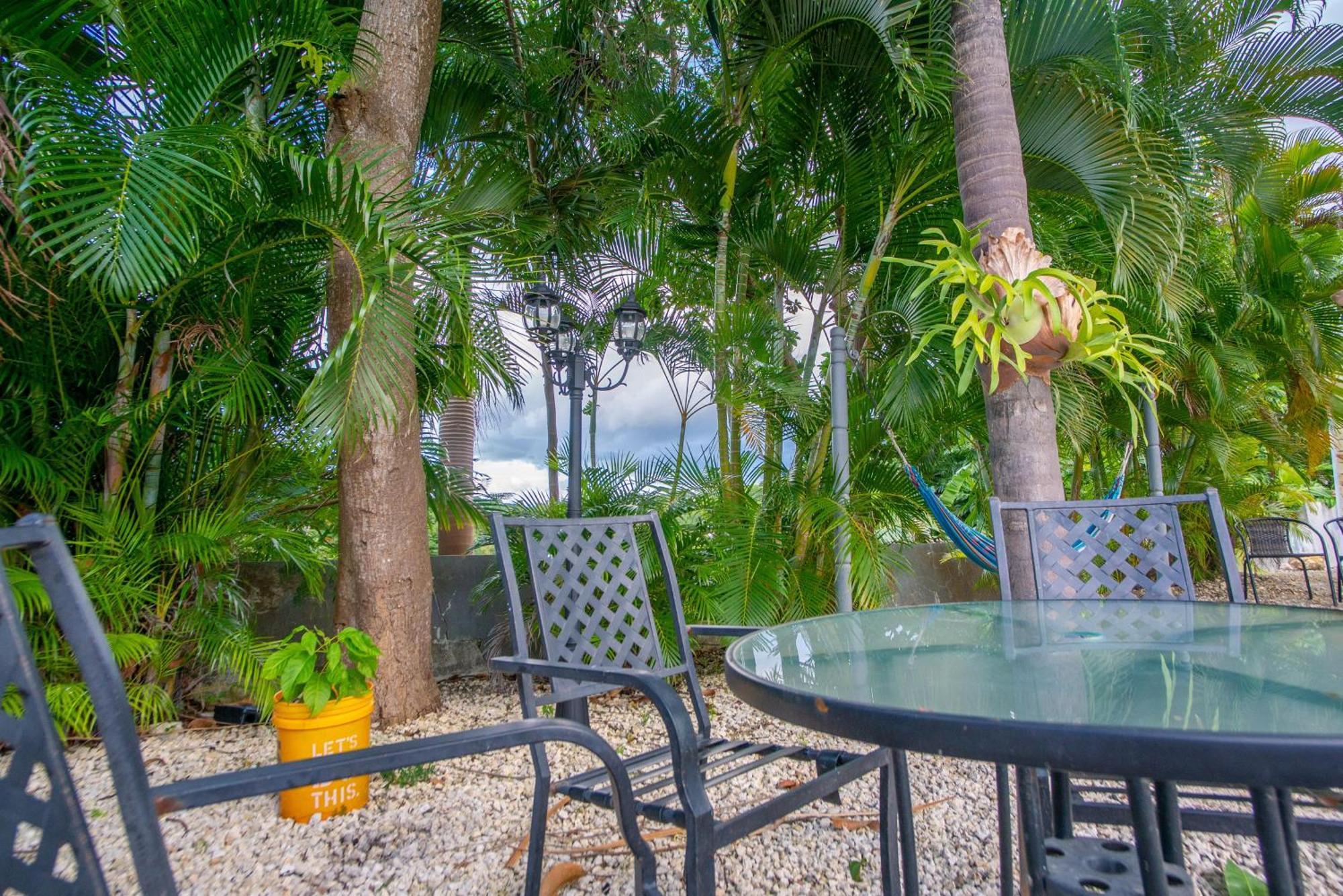 Casa Loba 4 With Private Pool Apartment