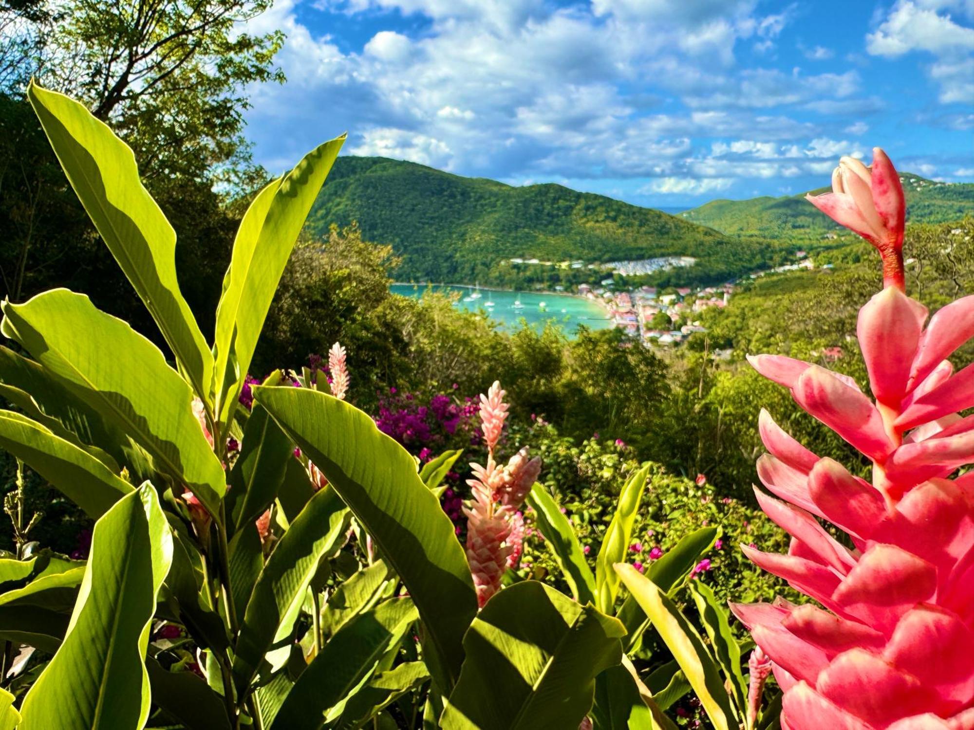 Holiday park Au Jardin Des Colibris Ecolodge&spa