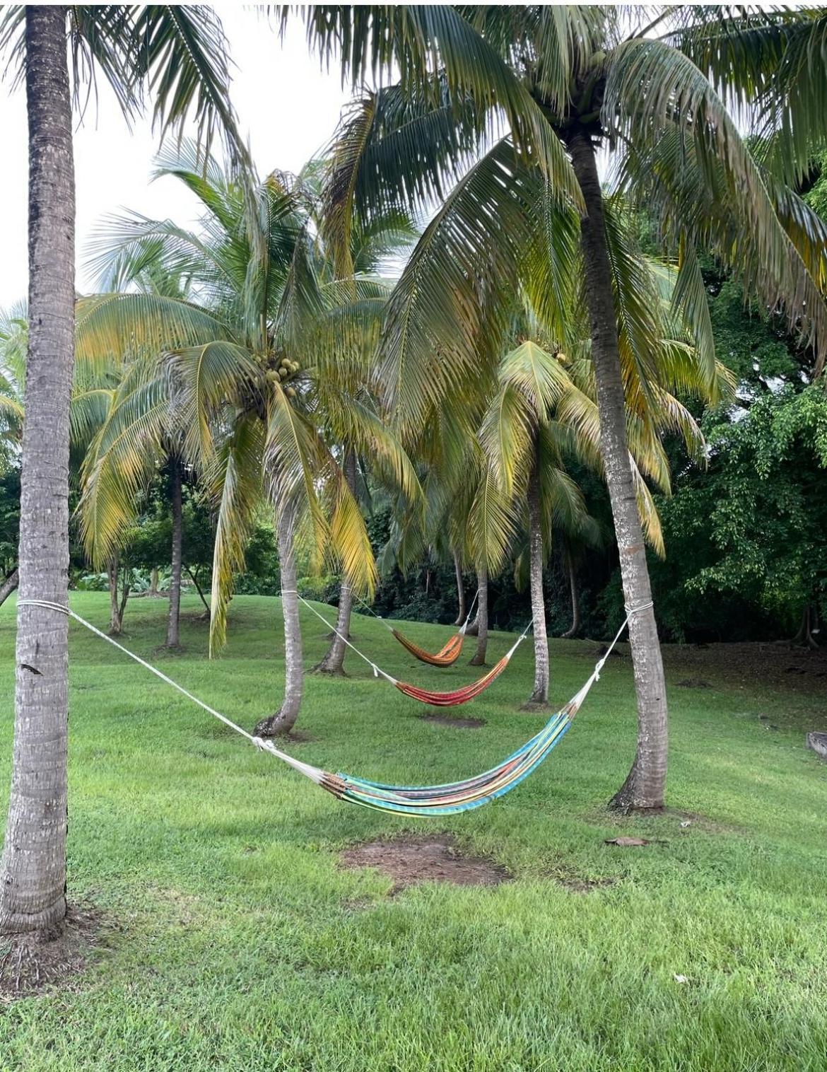 Apartment Couleur Caraibes-cocobeach Martinique Pierre Et *