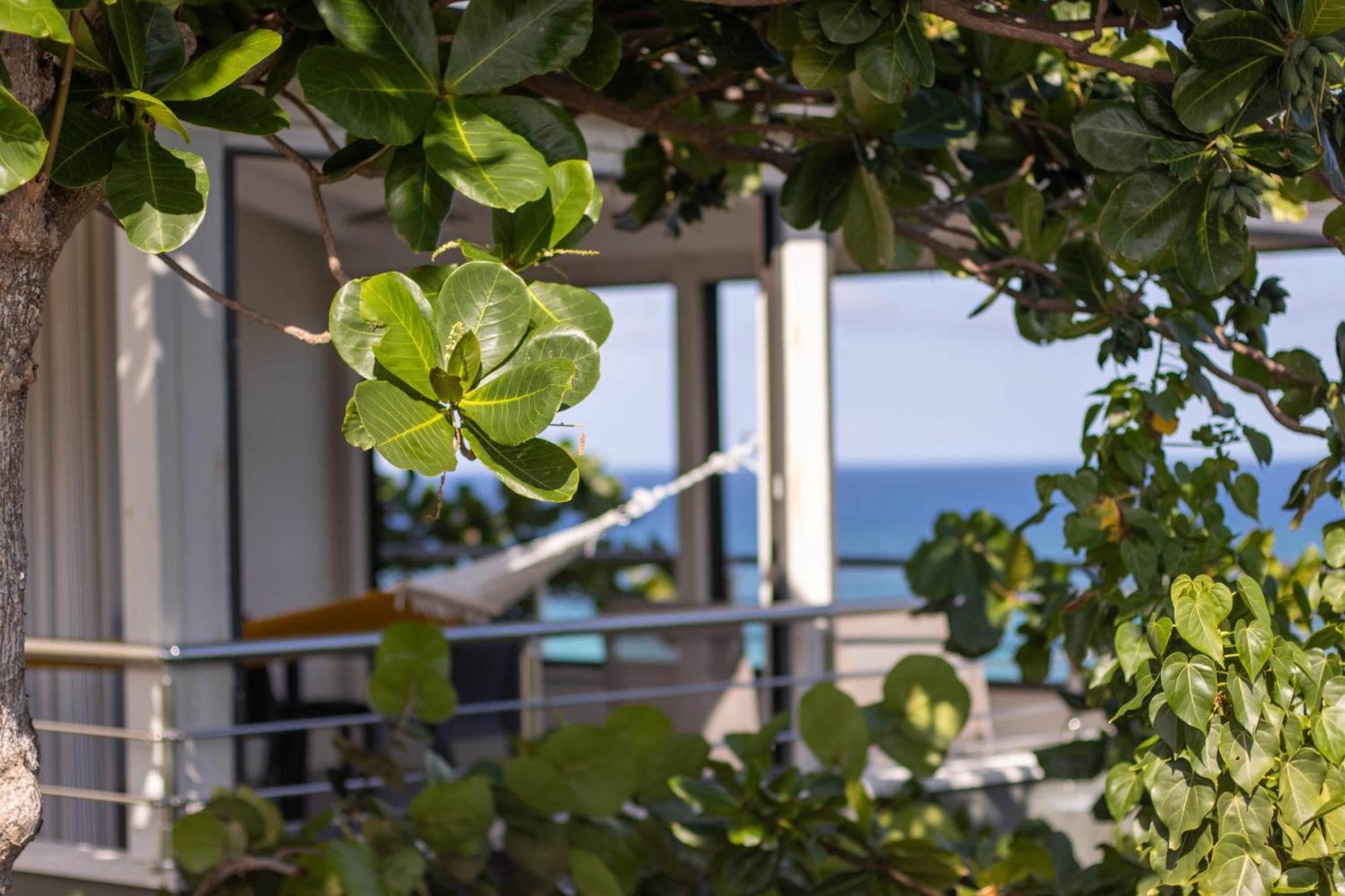 Apartment Magic - Stunning Ocean View, Pool & Starlink Internet