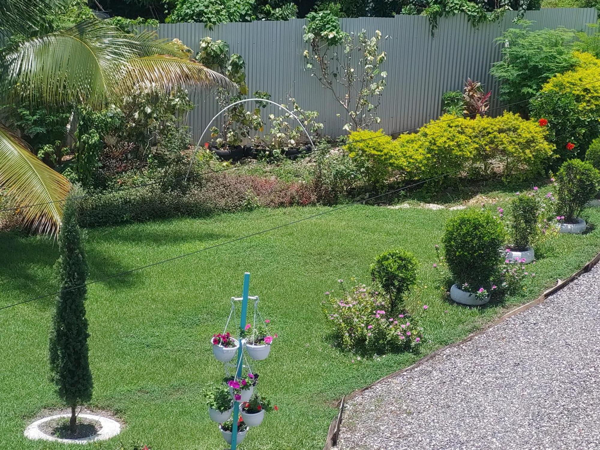 Alex's Place - Tim Pappies Apartment Port Antonio