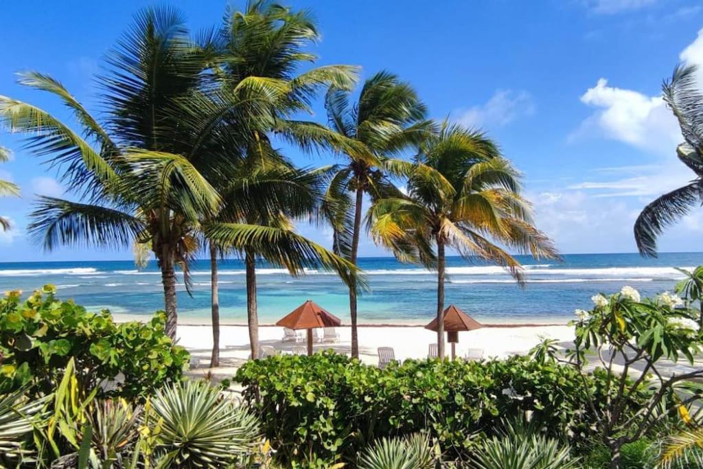 Le Colibri Du Paradis Sainte-Anne (Grande-Terre)