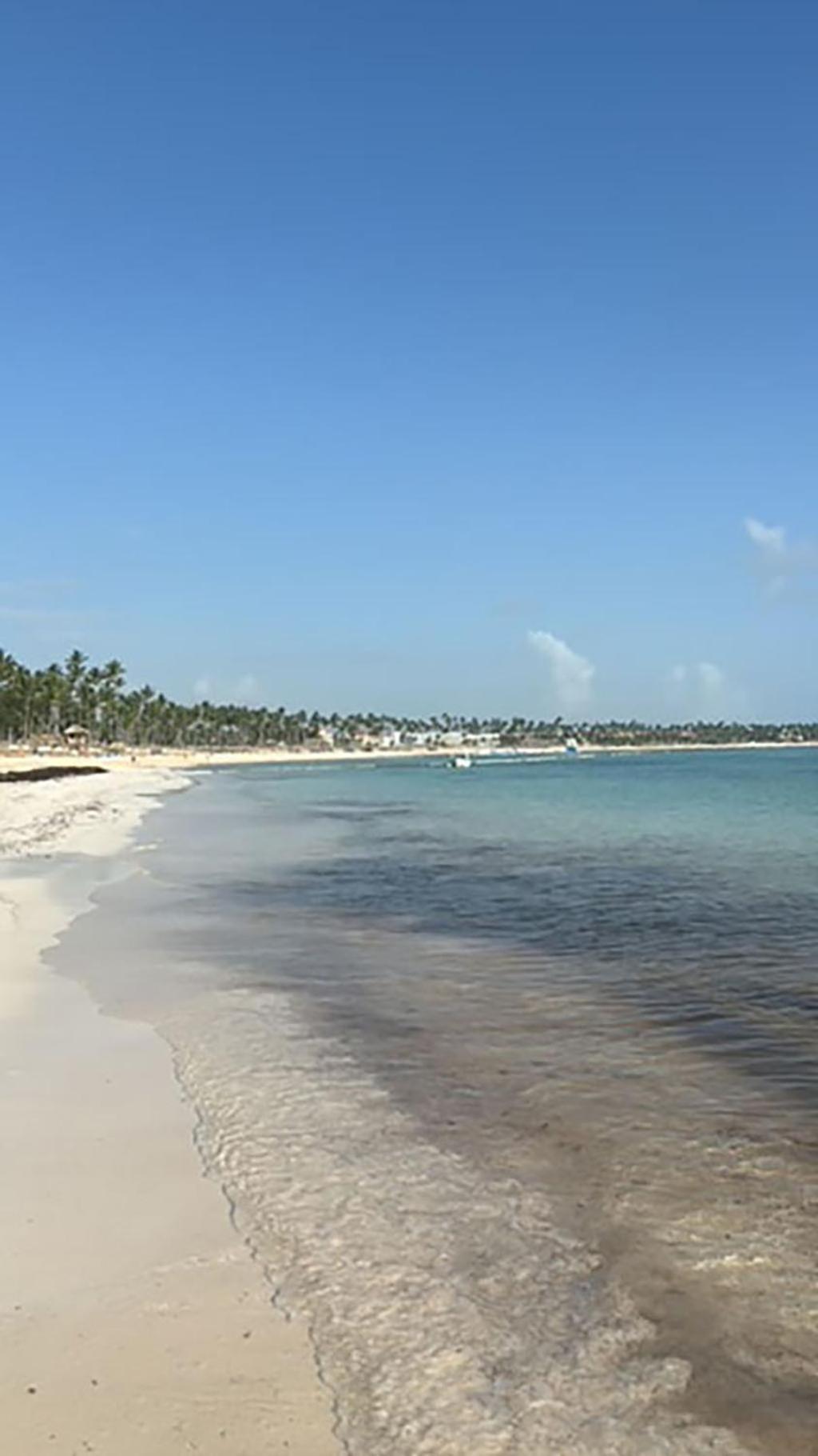 Pristine 4br Beachfront Getaway With Pool & Rooftop Apartamento