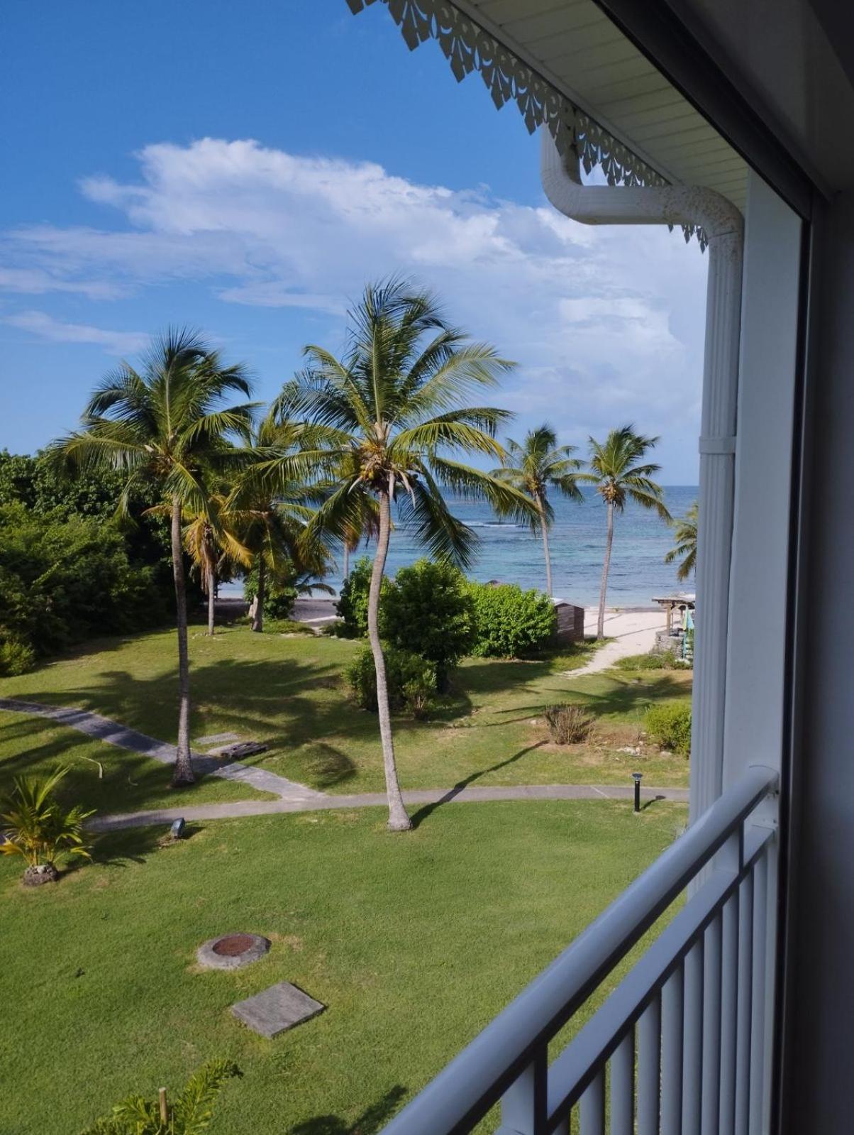 Cocotiers Et Pieds Dans L'eau * Saint-Francois (Grande-Terre)