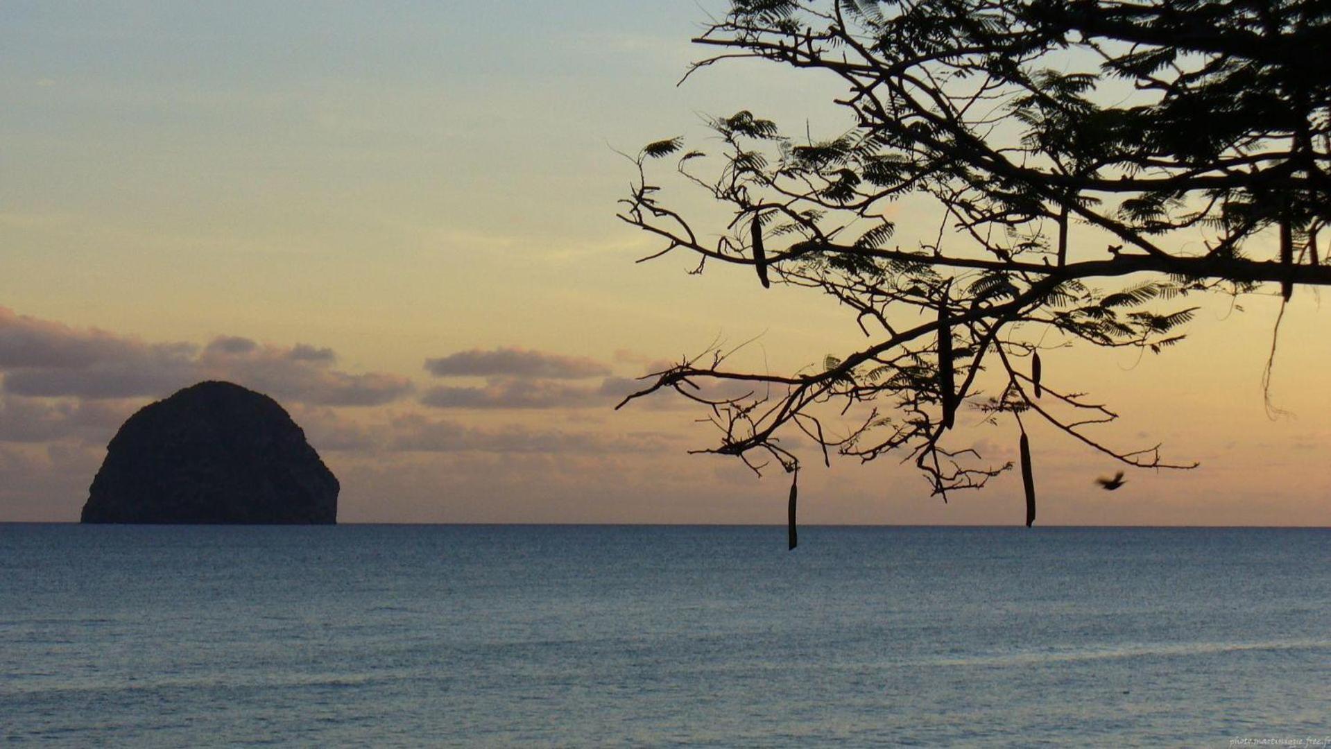L'escadre, En Face Du Rocher Du Diamant Homestay *