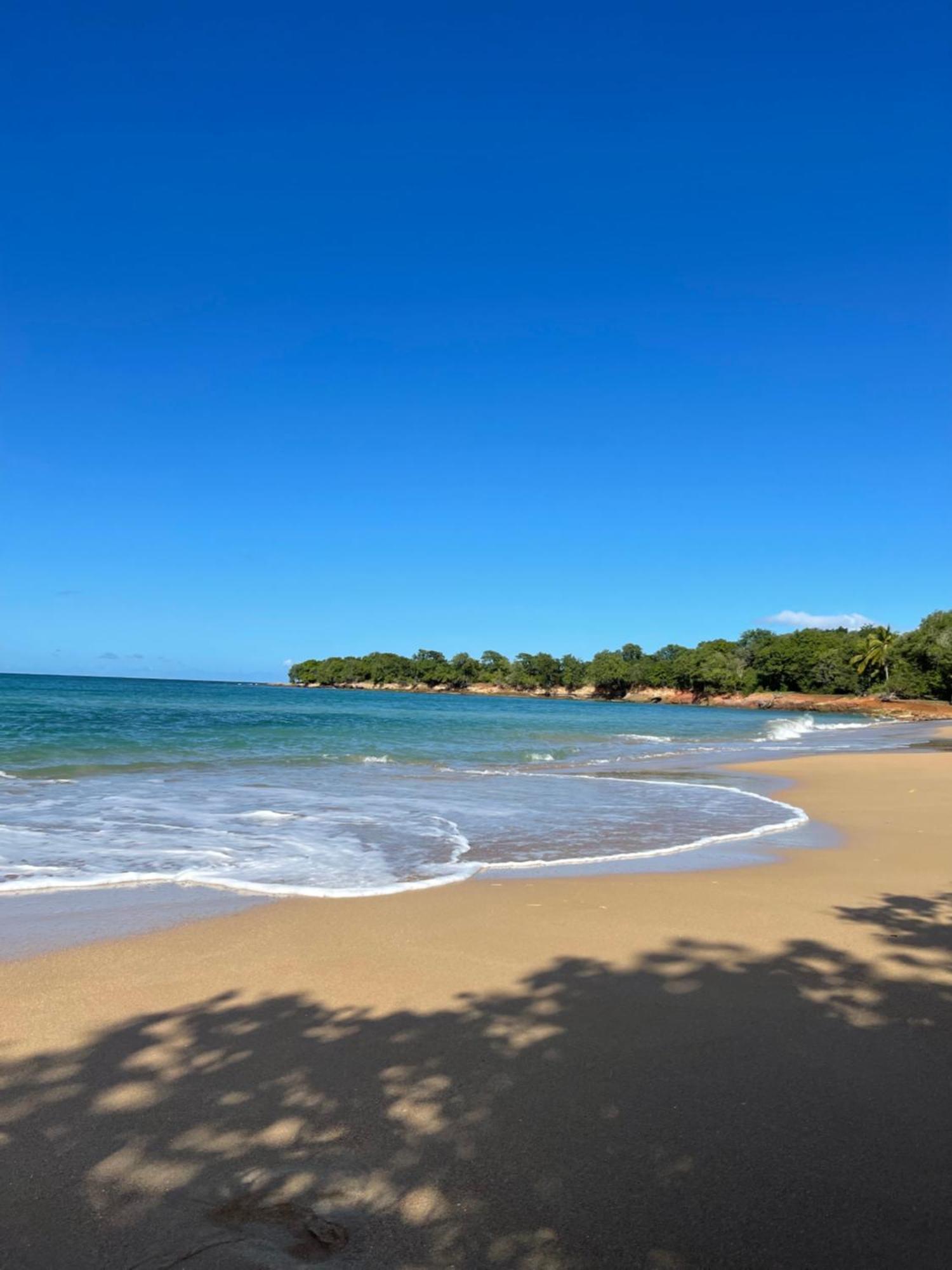 Domaine Entre Ciel & Mer Logement Tibo Acces Mer Direct Apartment Deshaies