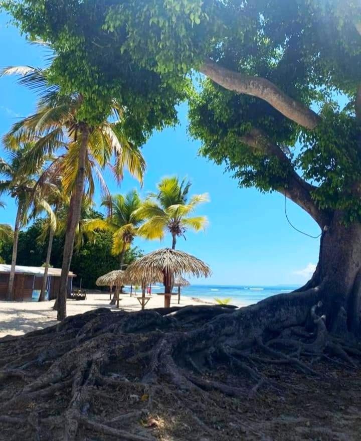 Le Ti'paradise Anse Des Rochers Belle-Allée