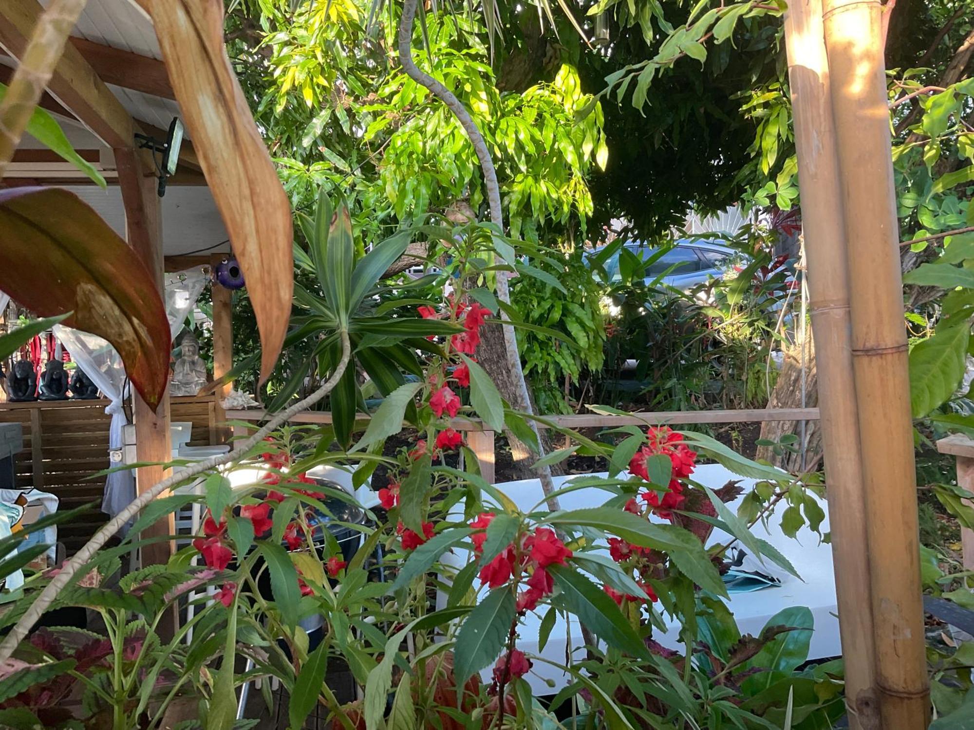 Tidododesiles * Bouillante