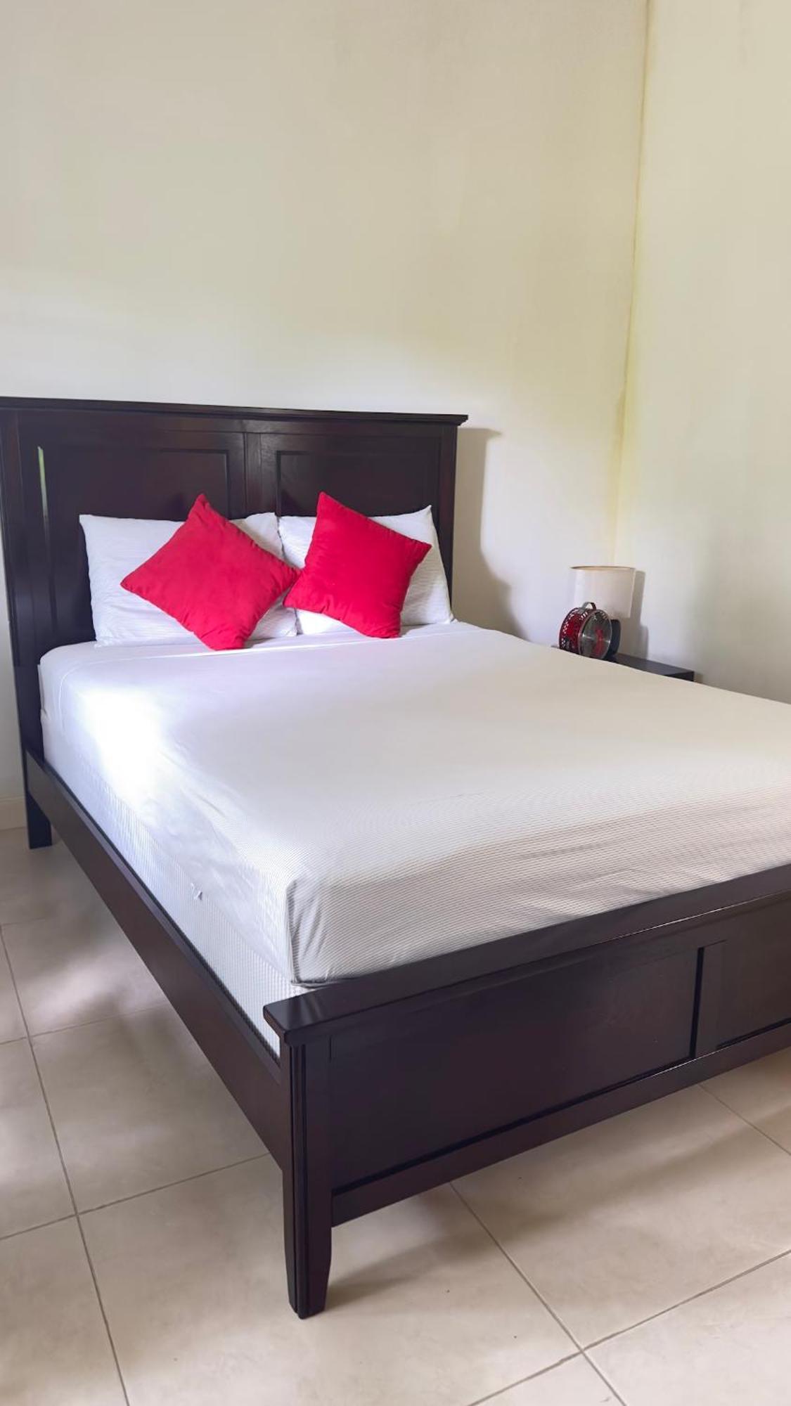 Aparthotel Jamnick Vacation Rentals - Richmond, St Ann, Jamaica *